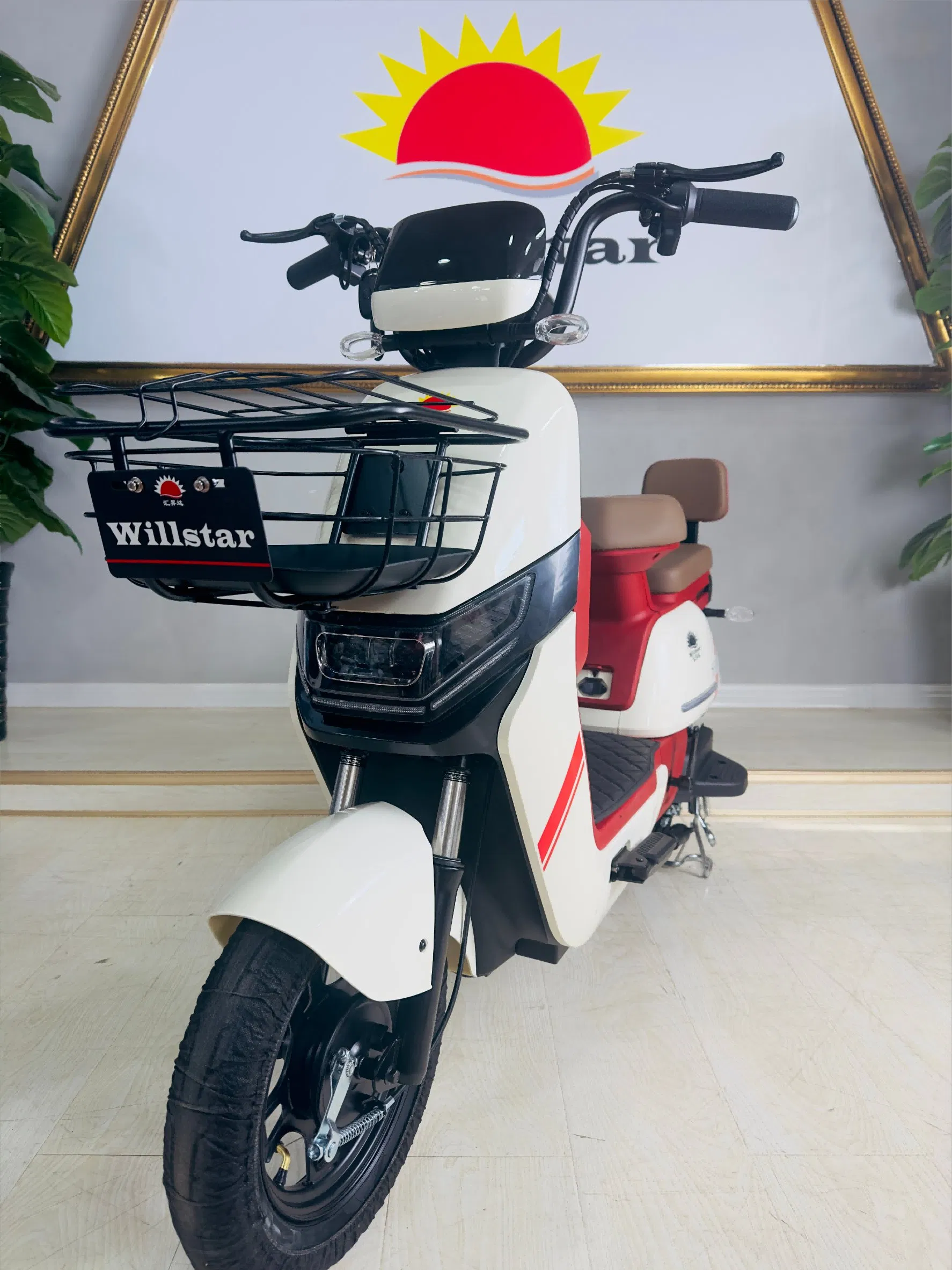 Willstar Electric Bicycle Ty188 High-Quality Products with a Solid Warranty