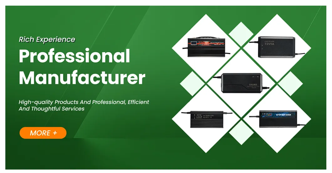 Smart & Safe Lead Acid Battery Charger