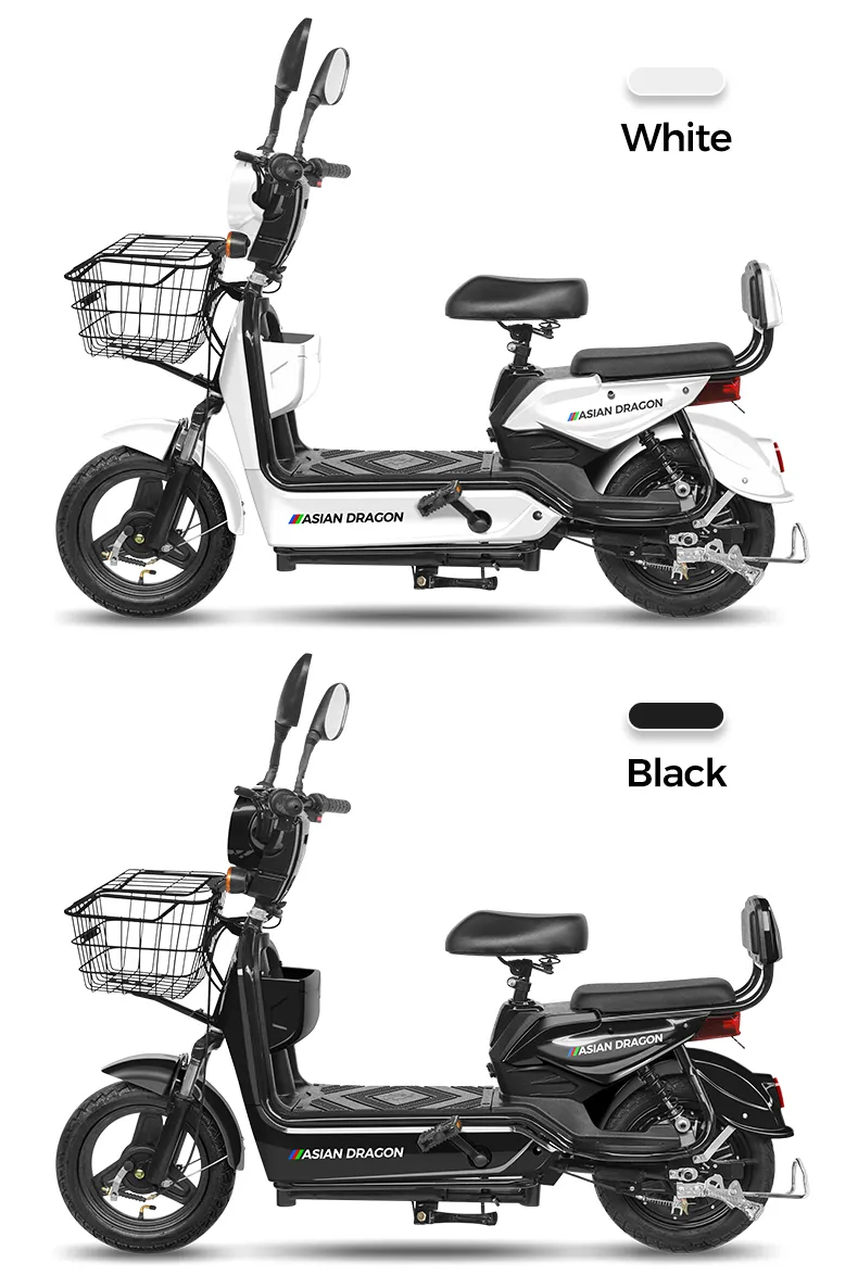 Electric Bike Battery