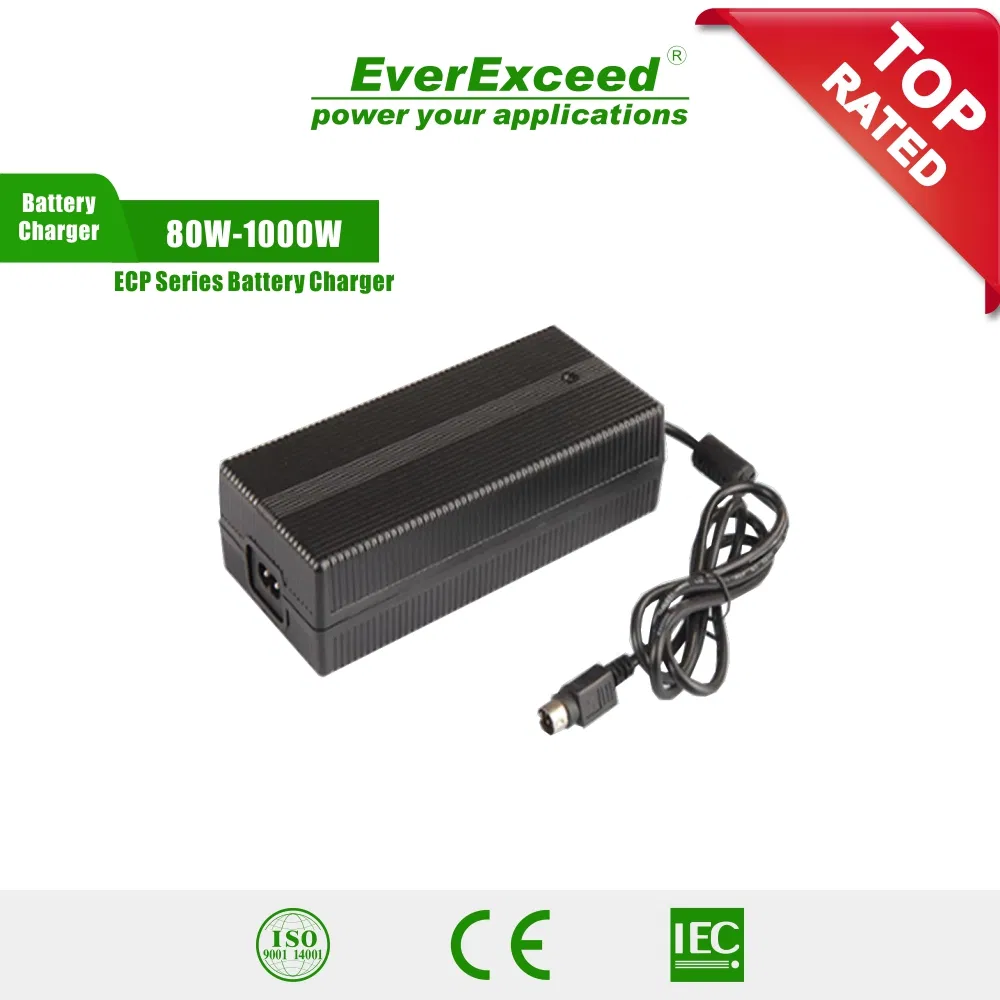 IP65 Waterproof Lithium Battery Charger for Outdoor Use