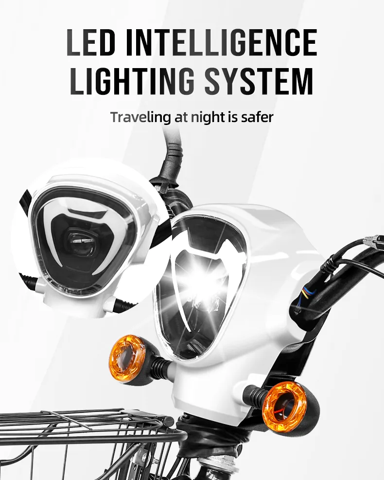 Electric Bike Features