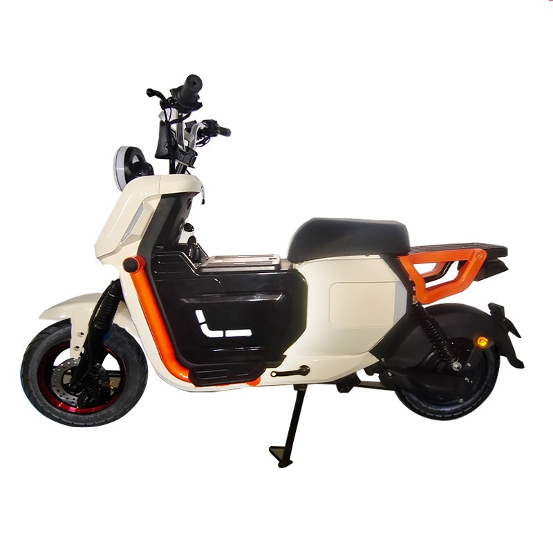 16-Inch High-Performance Professional OEM/ODM Supplier with 72V/20ah 1000W Adult E-Bike