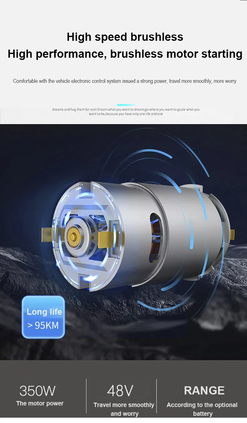 Electric Bike Photo 3