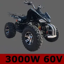 Adult Quad Bike