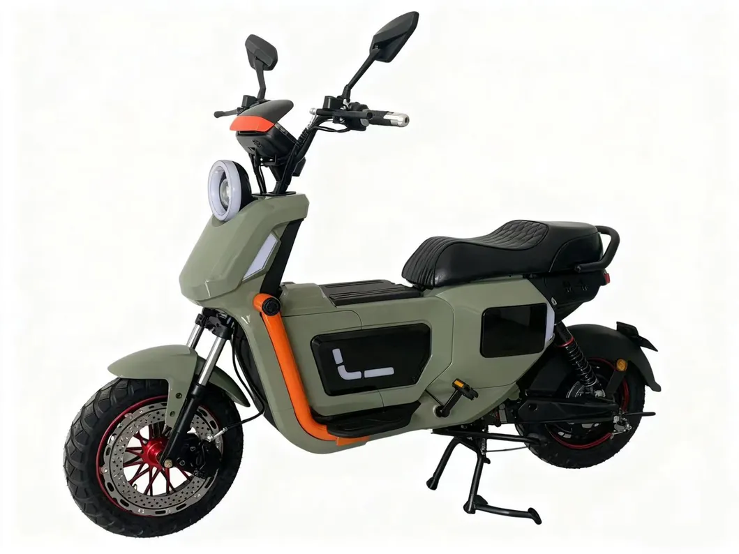 Electric Bike Overview