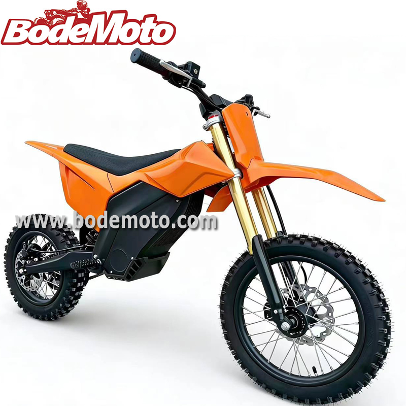 Fashion Cool 3000W E-Bike with Lithium Battery High Speed Sports E-Motorcycle