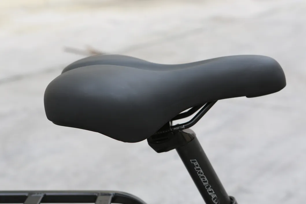 Electric Cargo Bike View 3