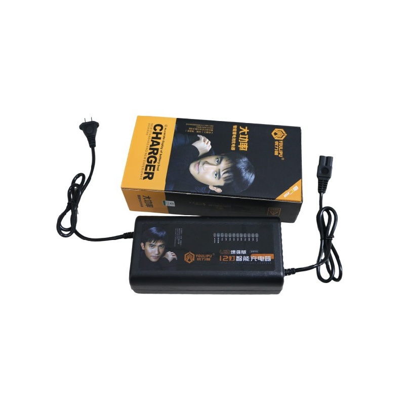 Micro-Mobility Universal 60A Lithium Drone Fast LiFePO4 Lead Acid Battery RC Universal Charger