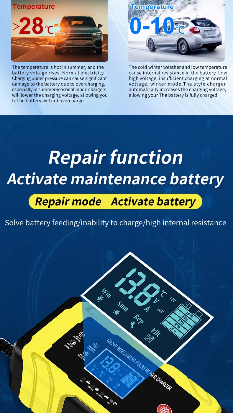 Battery Charger Display 6