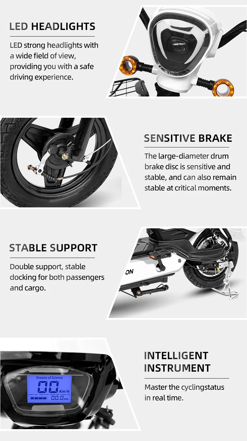Electric Bike Specification