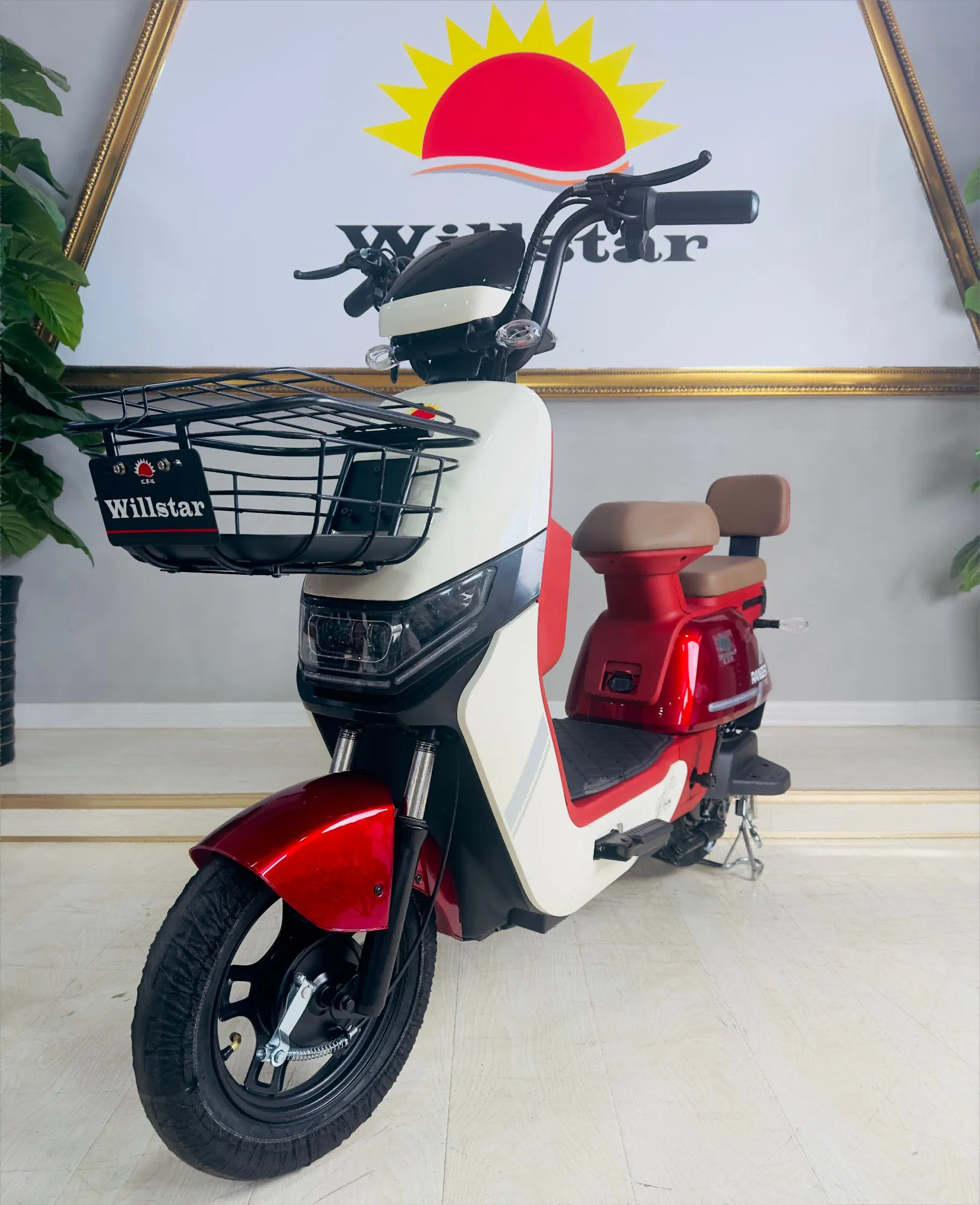 Willstar Electric Bicycle Ty188 High-Quality Products with a Solid Warranty