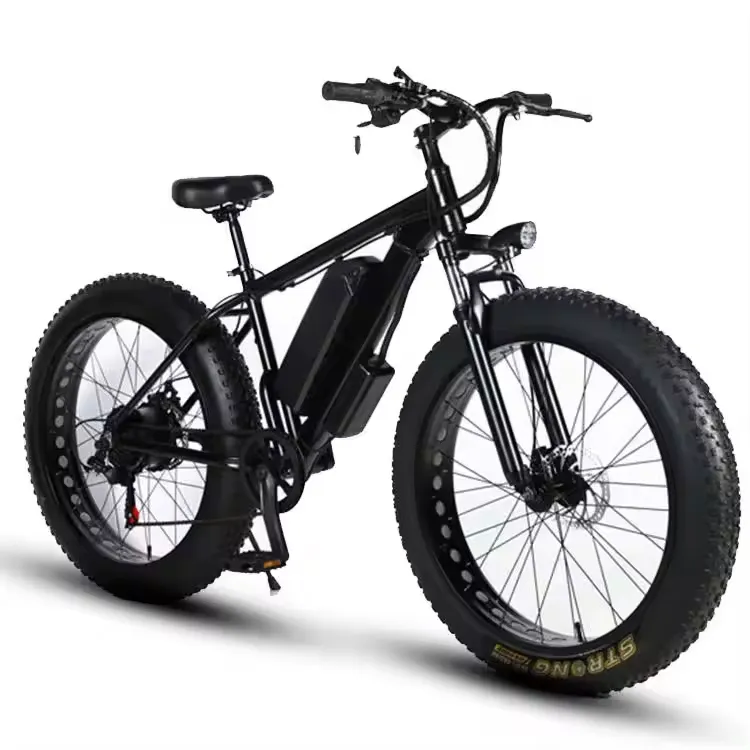Electric Fat Bike