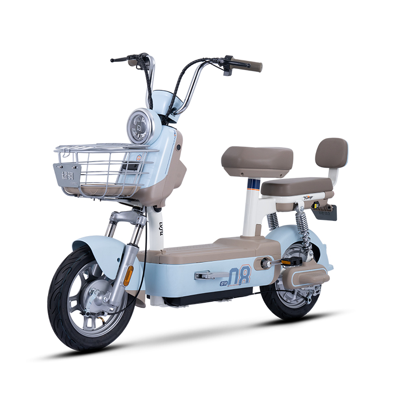 Mini Portable Bike Lelyn Low Price 48/60V Lead Acid Battery Electric Bike