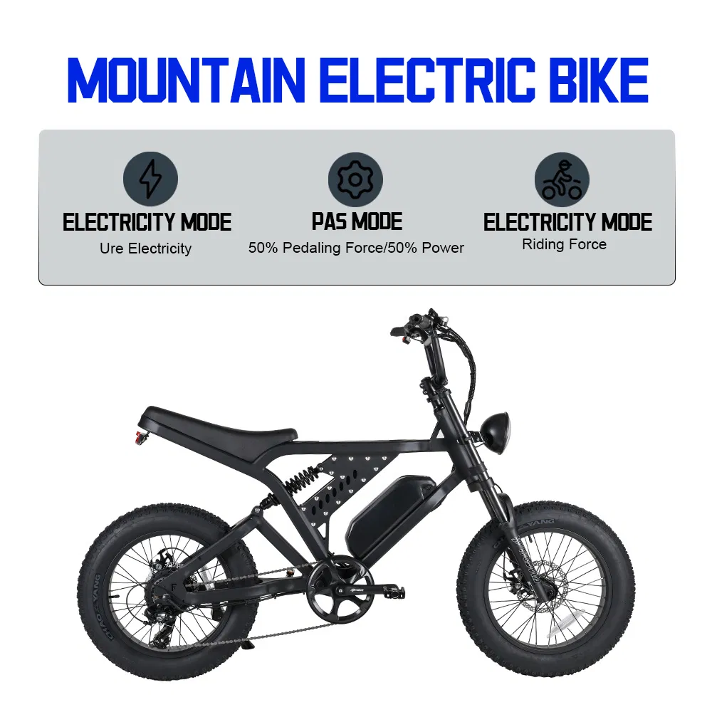 Factory Outlet 20inch Electric Fat Tyre Bicycle Big Power 52V 750W/1000W Electric Mountain Bike Electric Bike