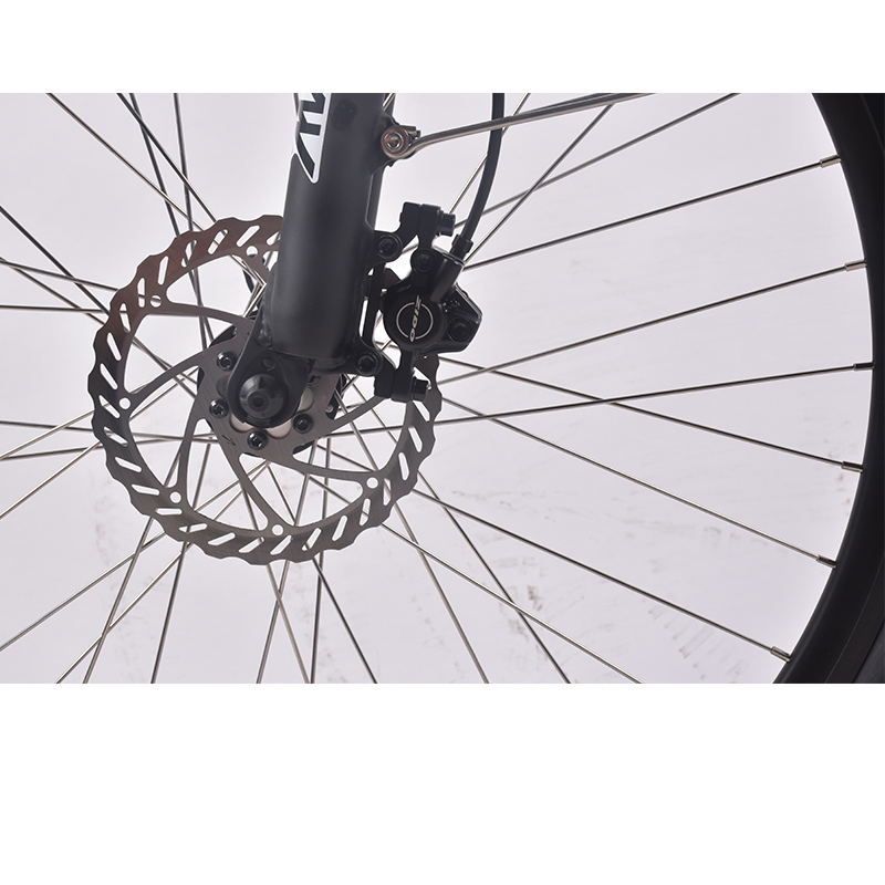 10% off Step Through City Myatu Europe Electric Bike with 500W 750W