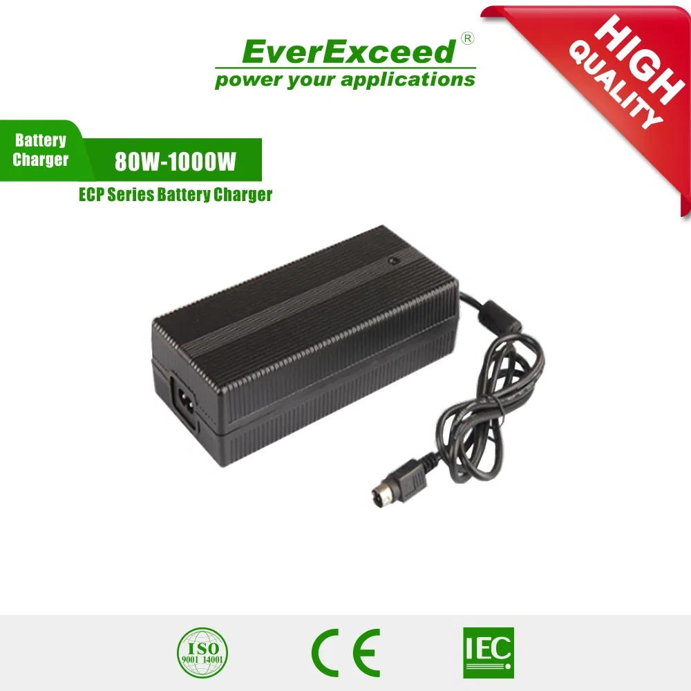 IP65 Waterproof Lithium Battery Charger for Outdoor Use