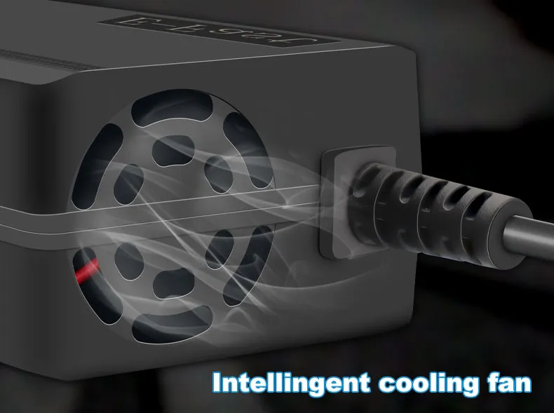 Fast Battery Charger Details