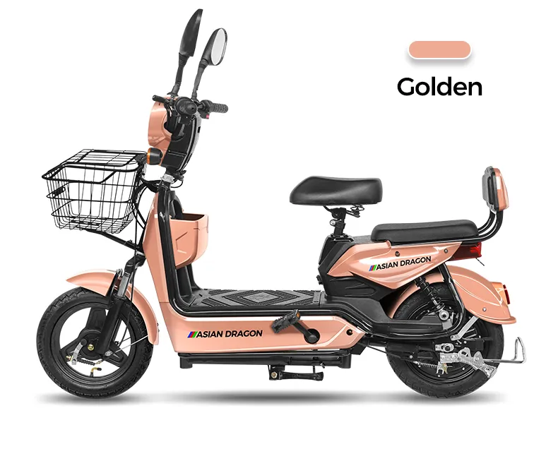 Electric Bike Overview