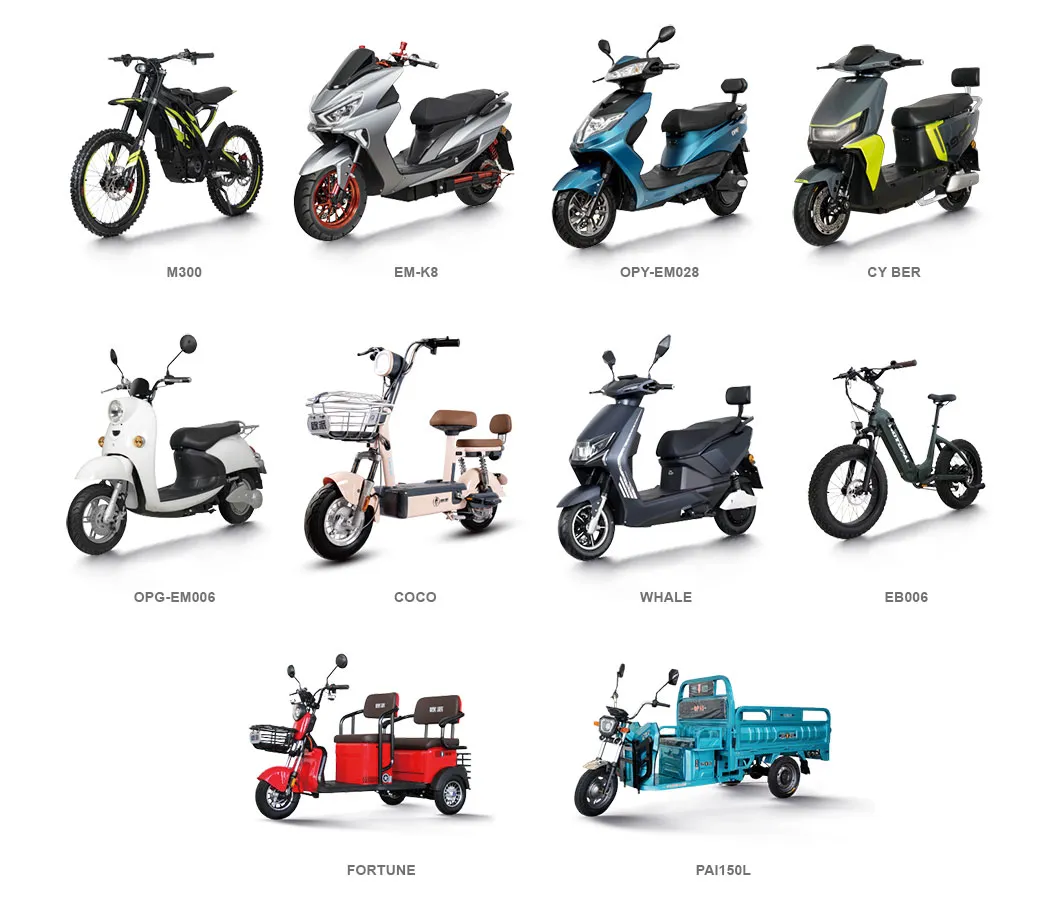 Other Electric Models