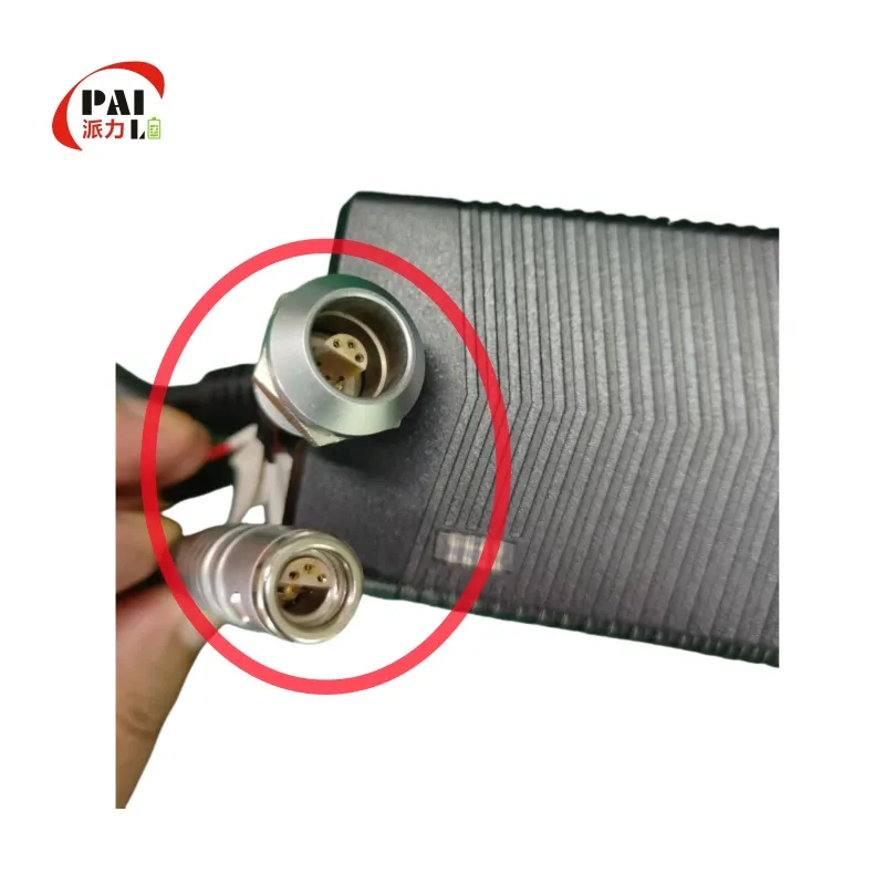 Battery Charger Detail 4