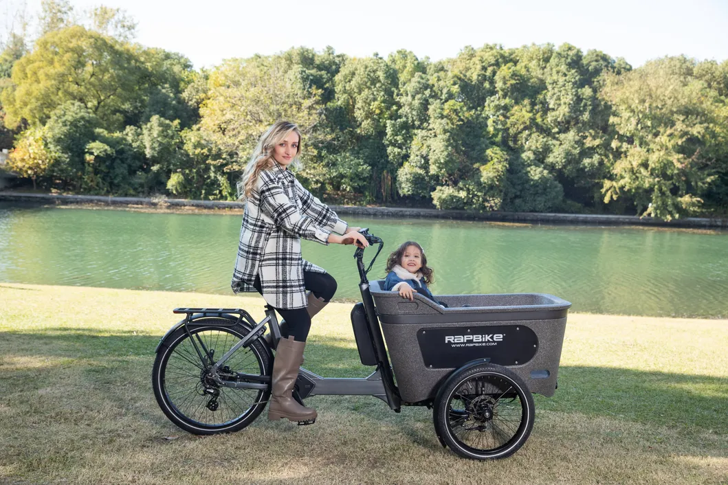 Electric Tricycle Cargo Ebike AT005