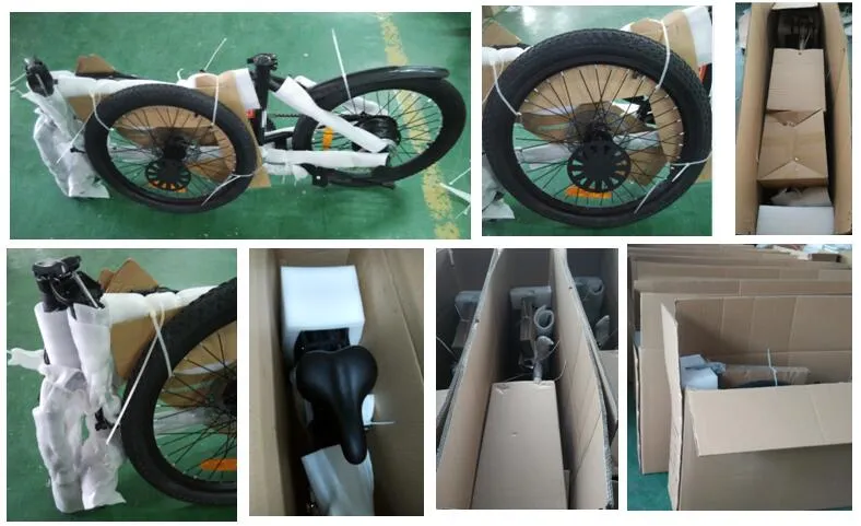 Electric Bike Packaging