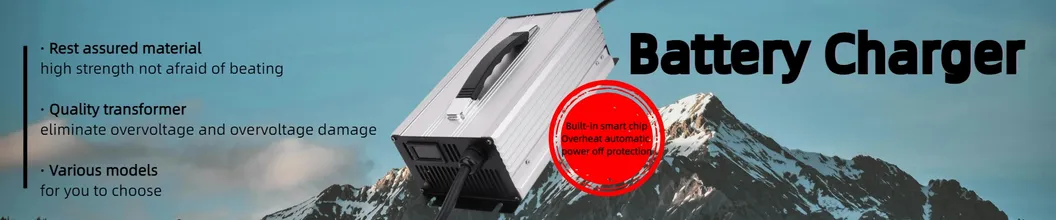 Smart Battery Charger