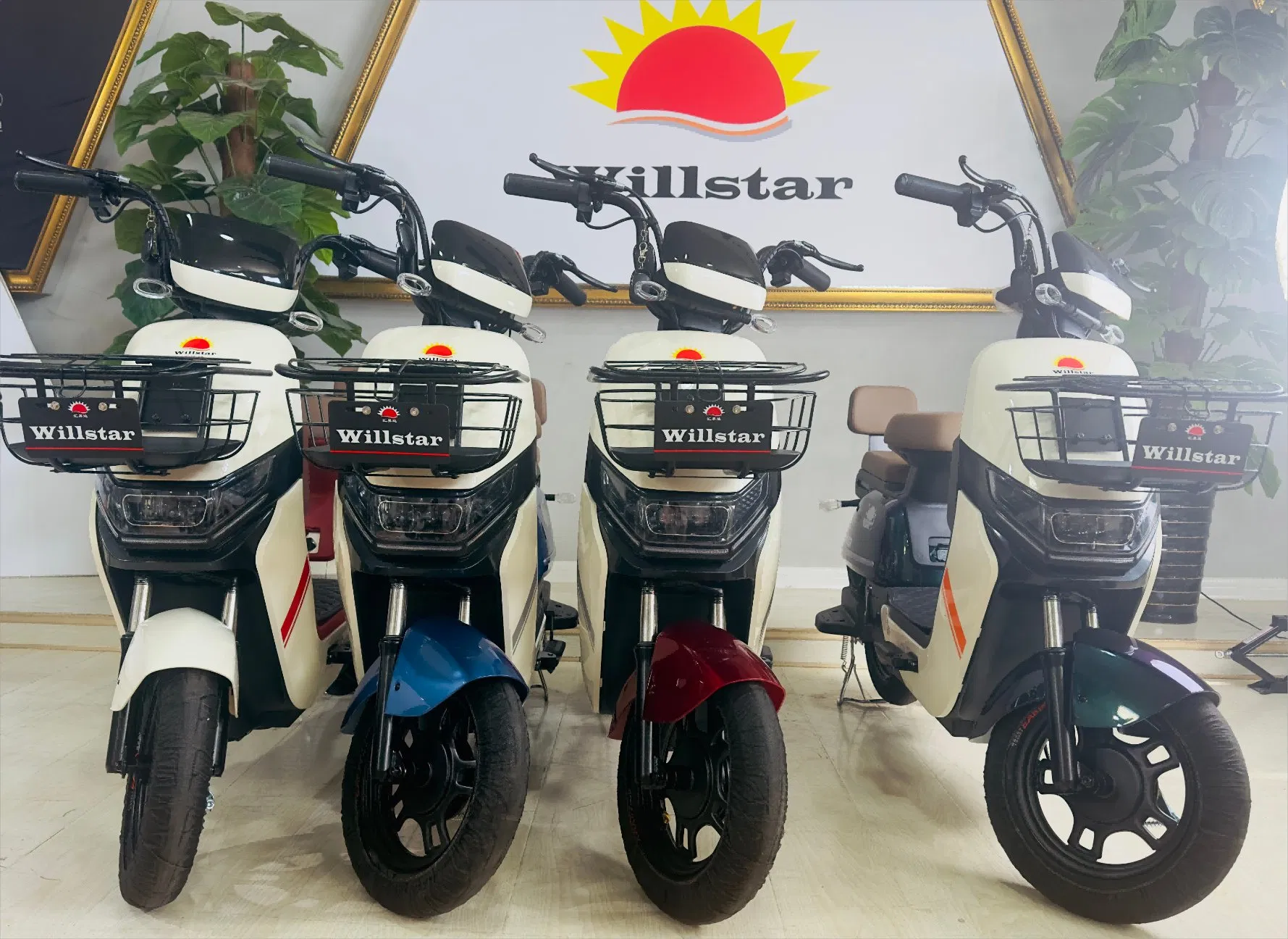 Willstar Electric Bicycle Ty188 High-Quality Products with a Solid Warranty