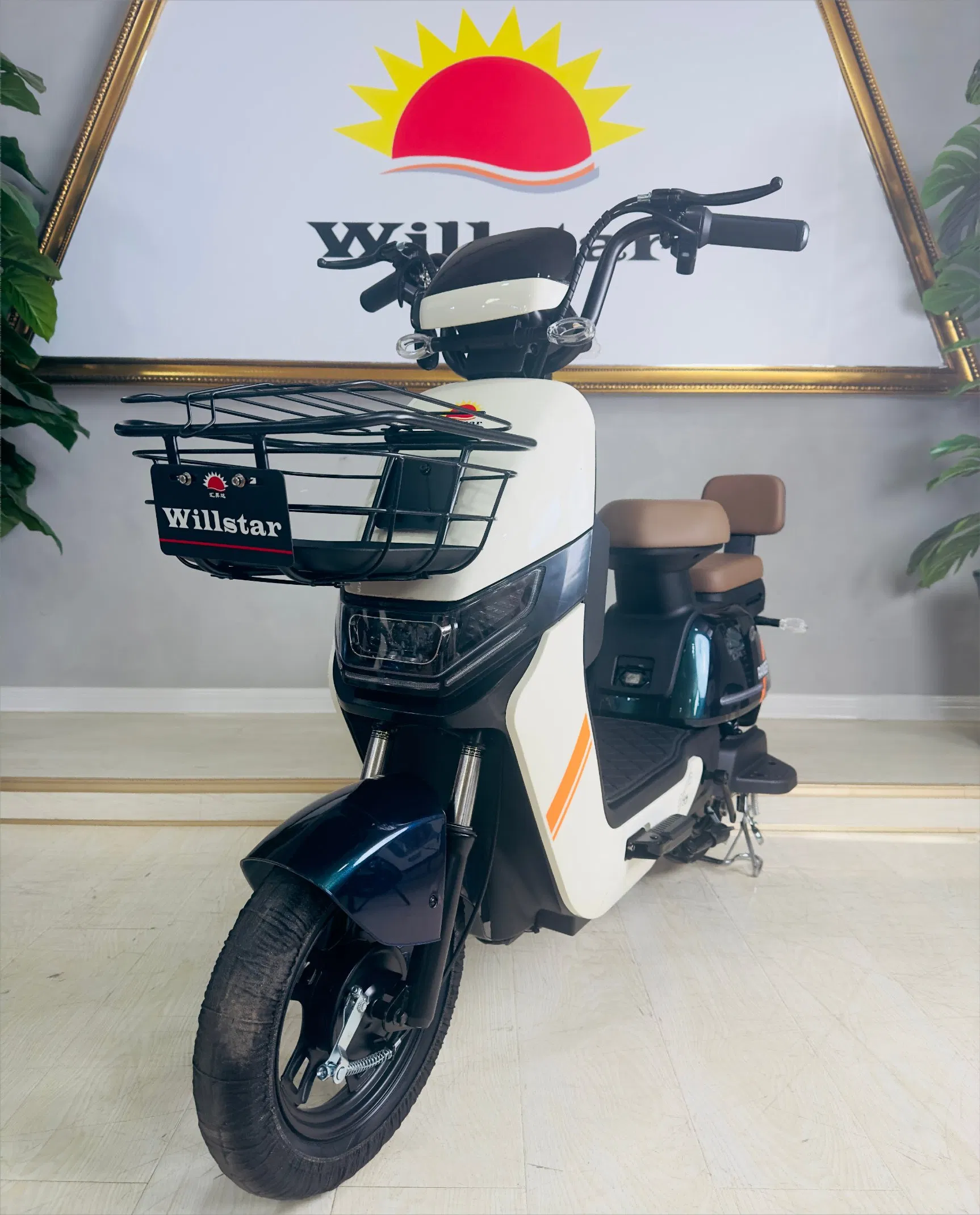 Willstar Electric Bicycle Ty188 High-Quality Products with a Solid Warranty