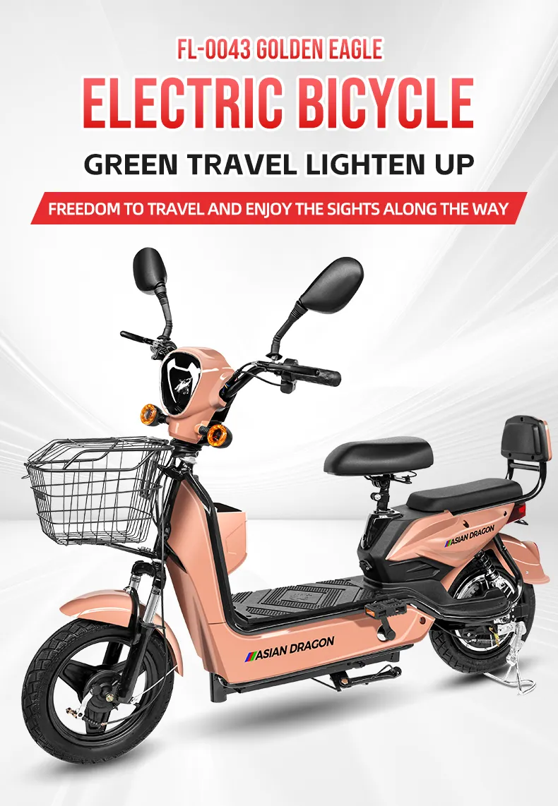 Electric Bike Model 1