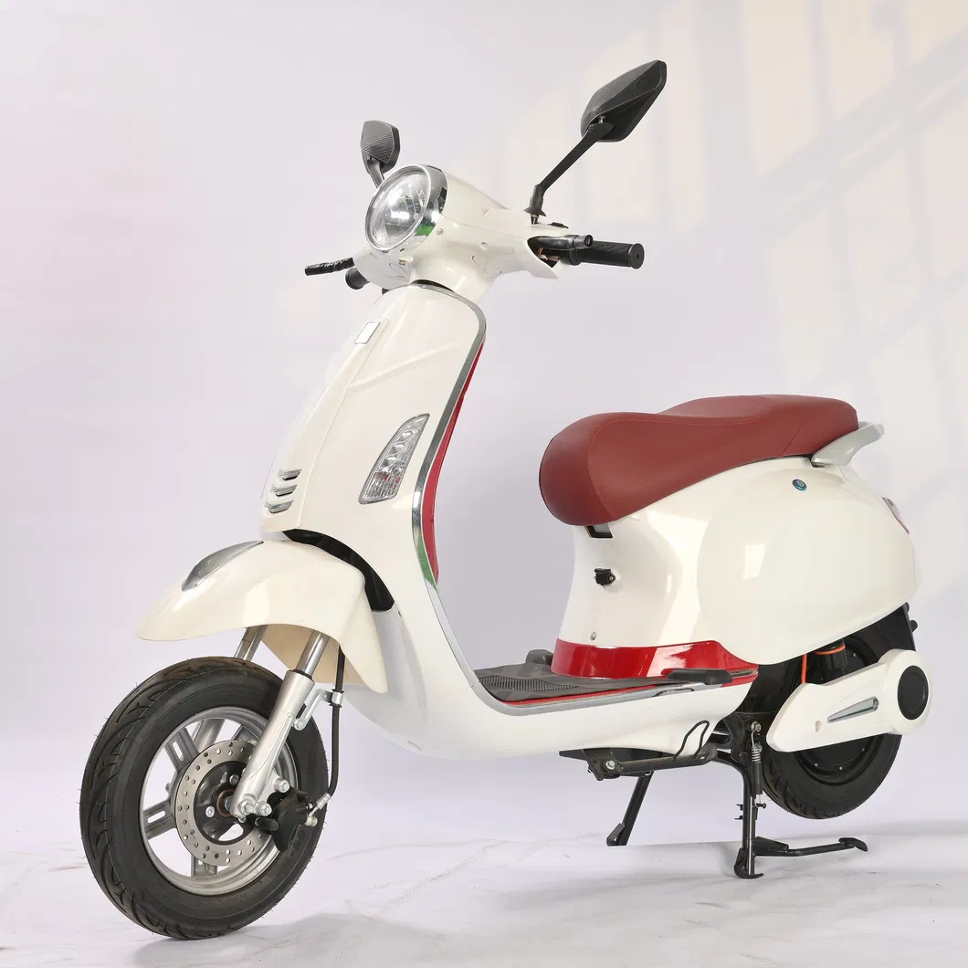 Electric Bicycle Front View