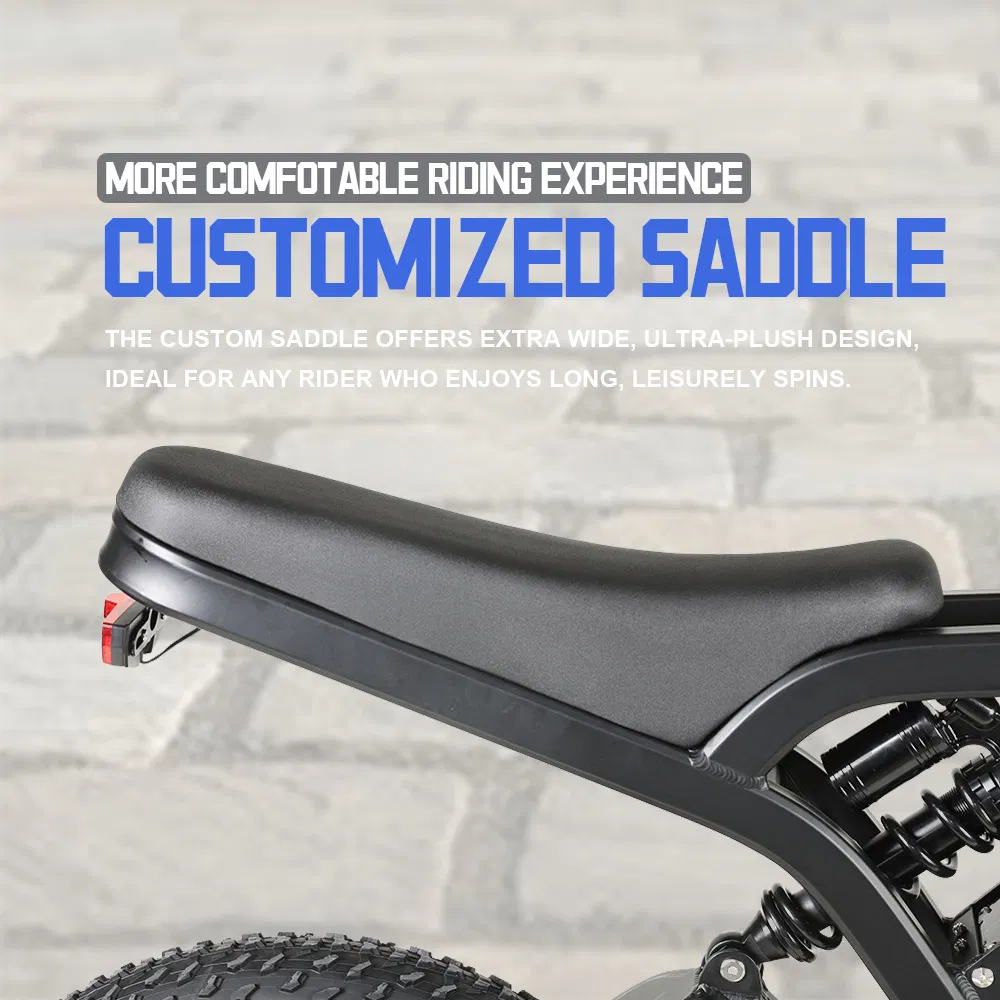 Electric Bike Photo 5