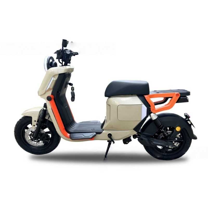 16-Inch High-Performance Professional OEM/ODM Supplier with 72V/20ah 1000W Adult E-Bike