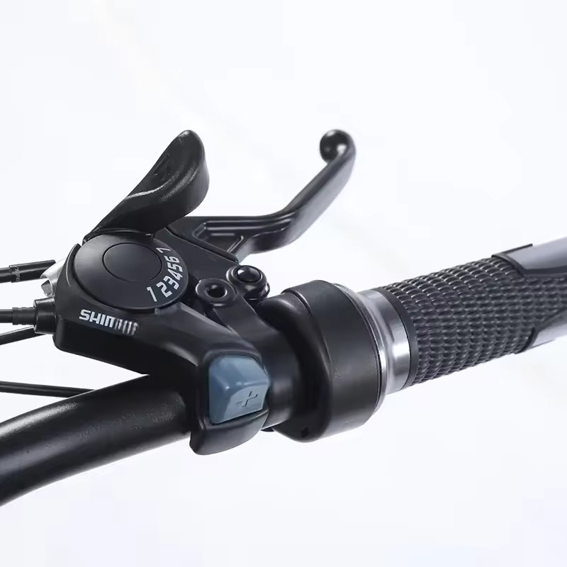 Hot Sale Electric Fat Bike Adult Mountain Bike 26 Inch 500W/1000W E Bike Electric Bicycle with Lithium Battery