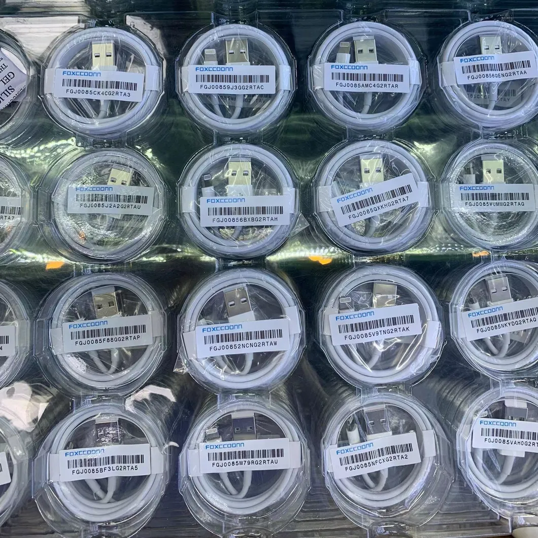 Fast Charging Details