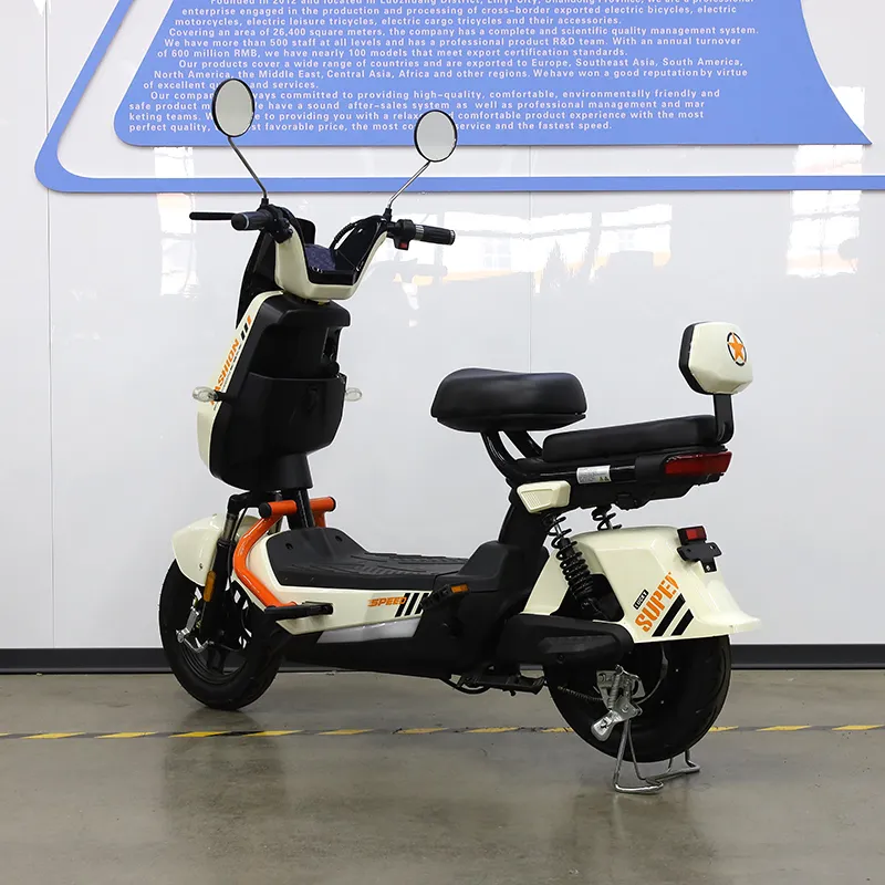 High Performance E-bike