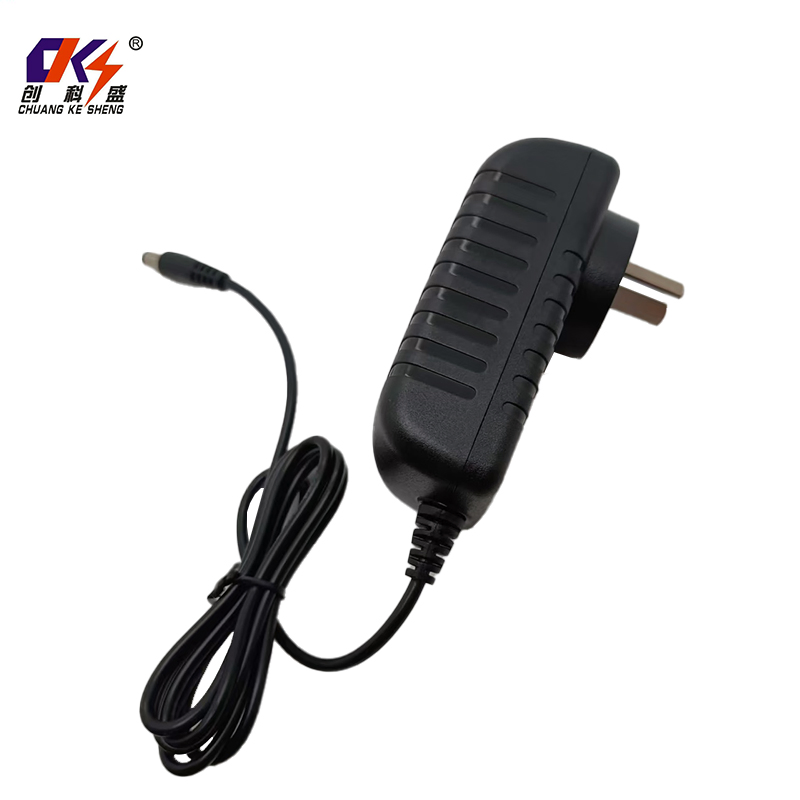 Portable Plug Ar Argentina Plug 25.2V 0.5A 12.6W Worldwide Travel Adapter 500mA Wall Mount Switching Charger 25V Power Adapter