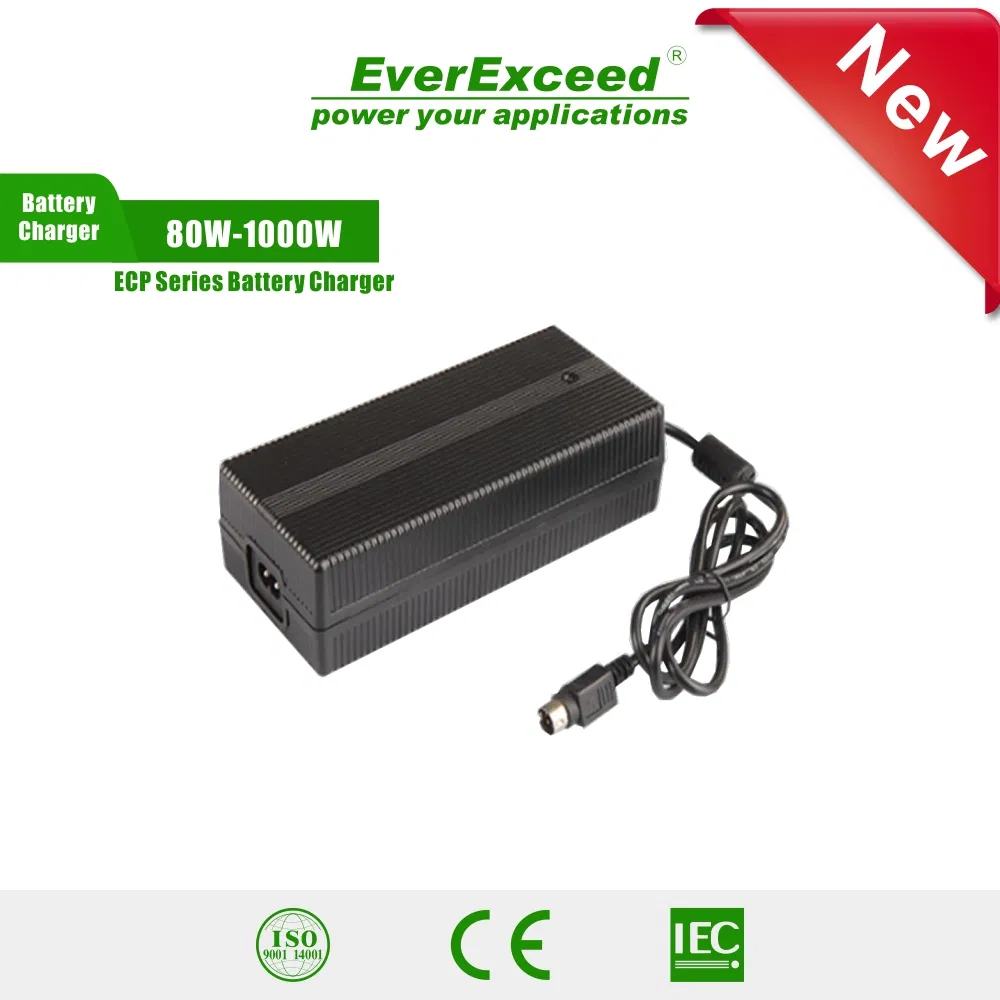 IP65 Waterproof Lithium Battery Charger for Outdoor Use