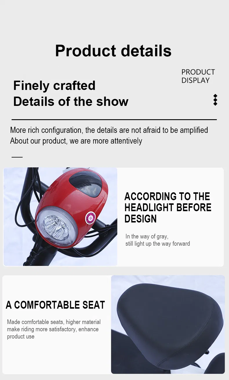 Electric Bike Photo 4