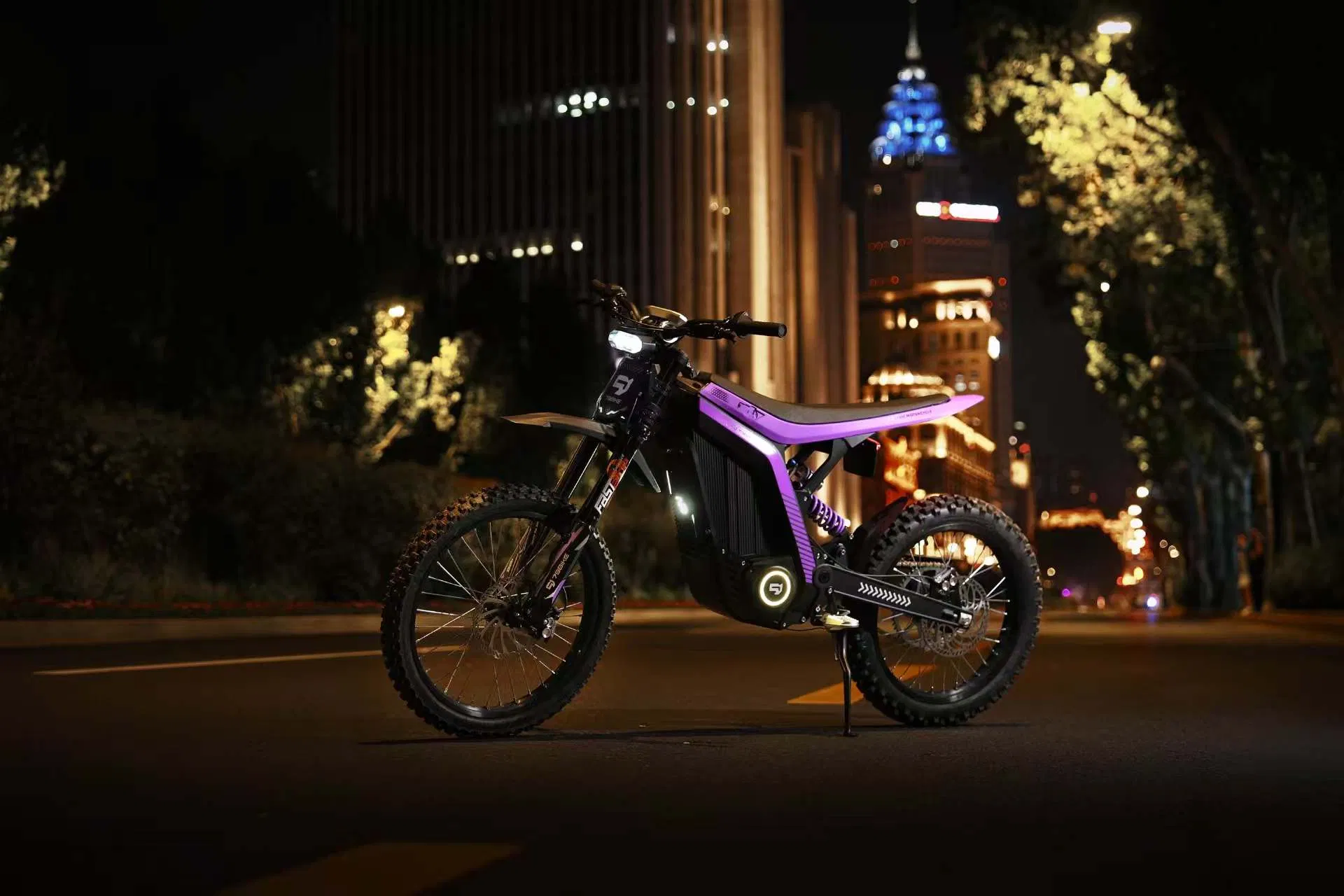 New Electric Cross Dirtbike 72V 40A 95km/H 610n. M Racing 120km 16.8kw