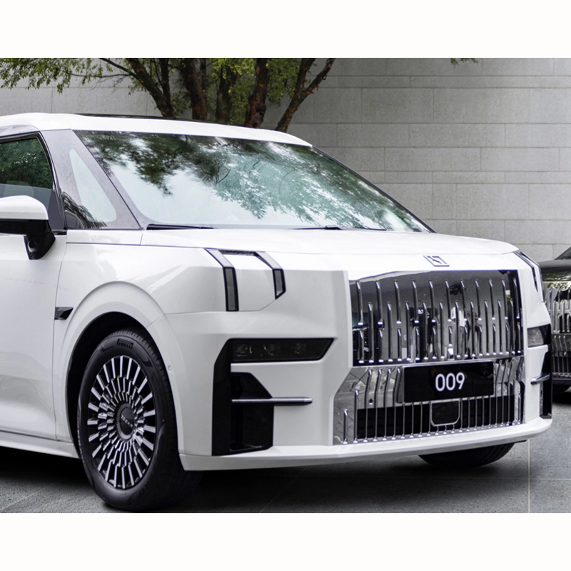 Zeekr 009 Large MPV Pure Electric 400kw Van Goofo Electric Car