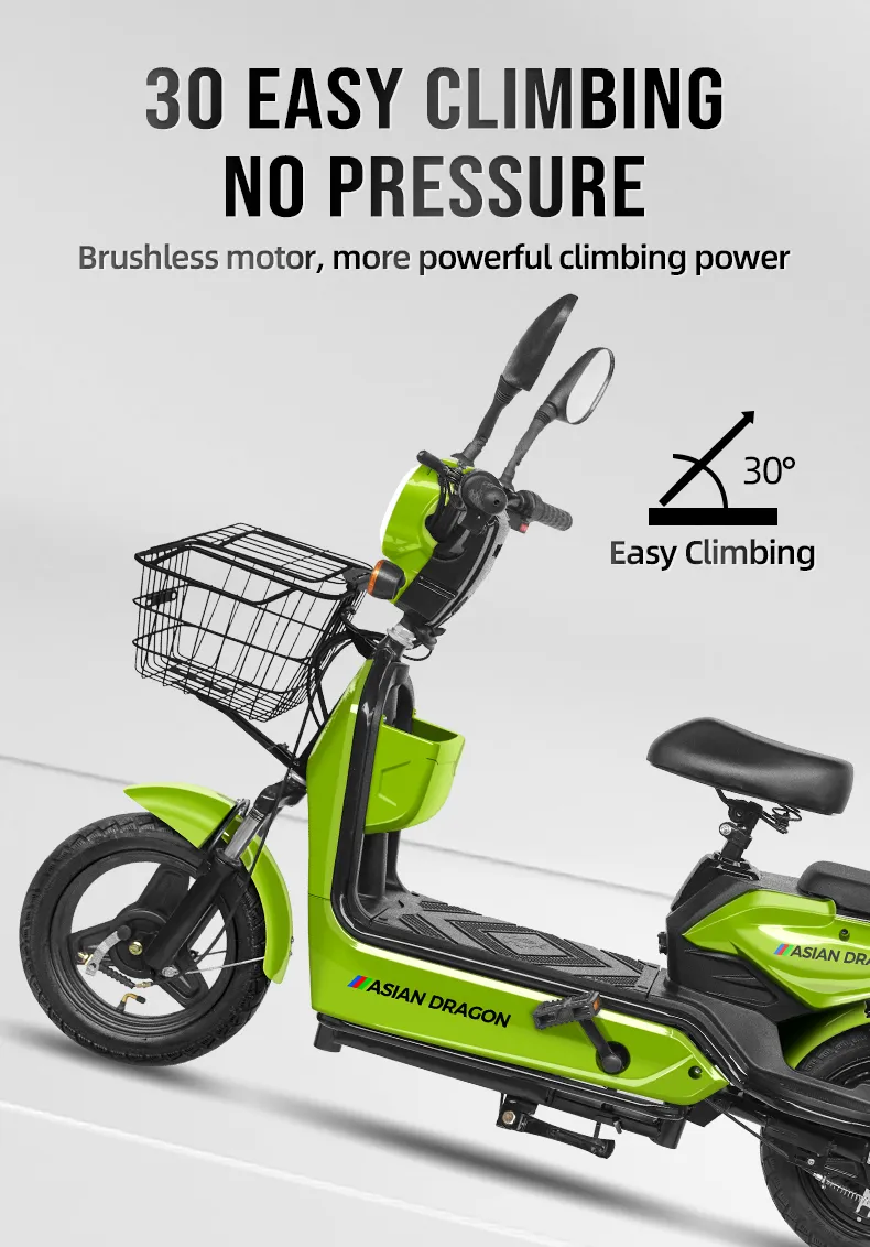 Electric Bike Performance