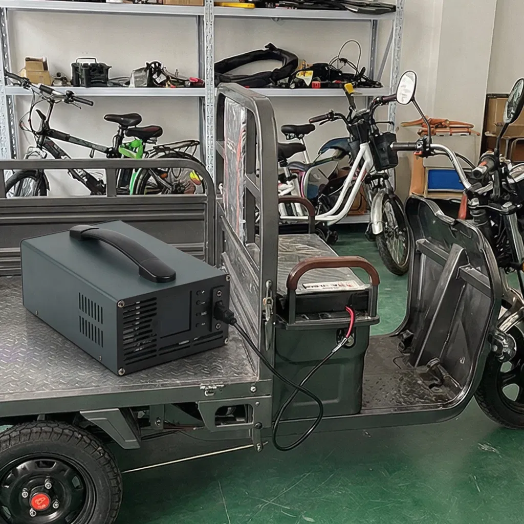 Premium 20A Lithium Iron Phosphate Charger for Global Distribution