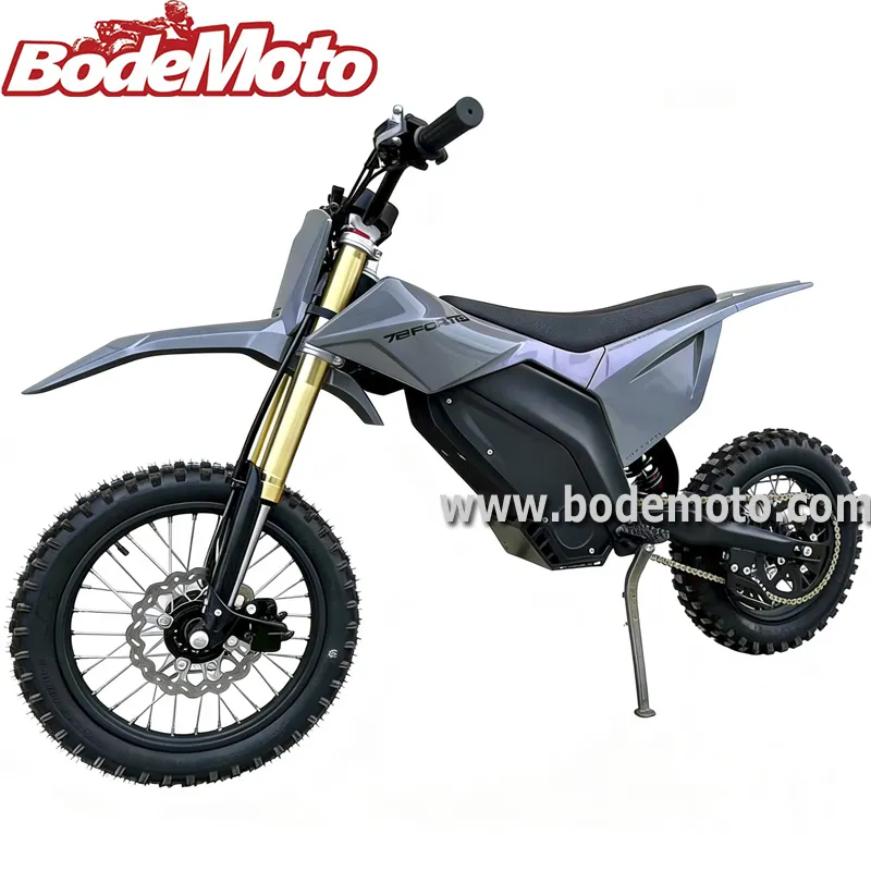 E-Motorcycle View 1