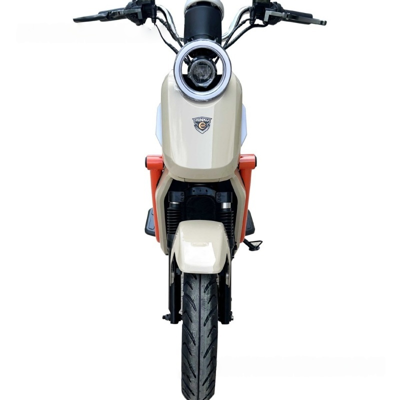 16-Inch High-Performance Professional OEM/ODM Supplier with 72V/20ah 1000W Adult E-Bike