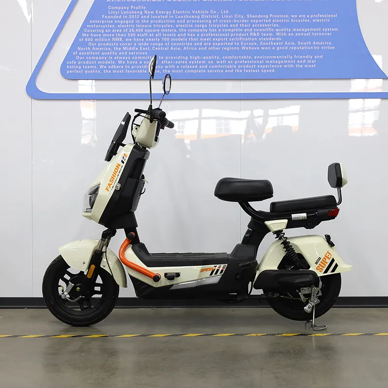 Electric Motorcycle Detail