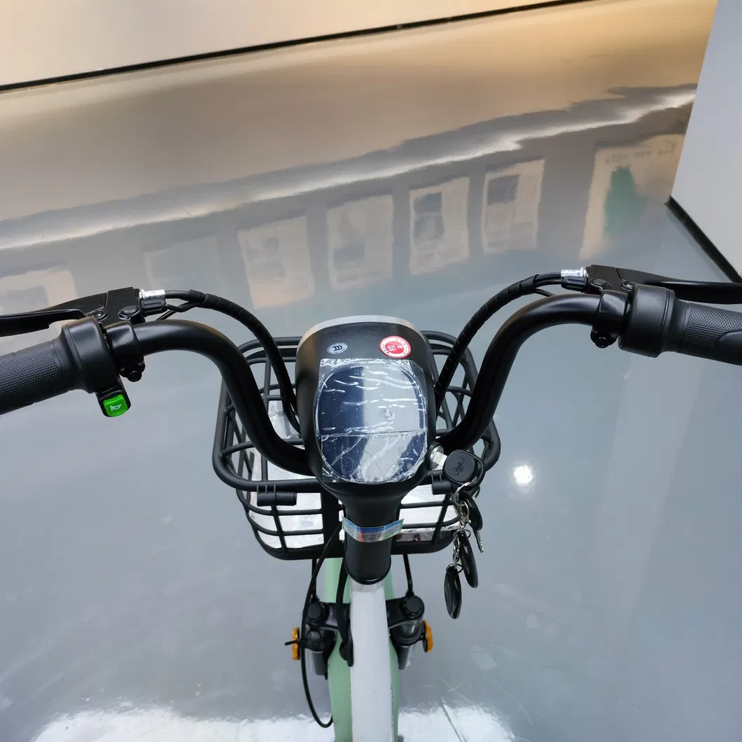 Electric Scooter Rear View