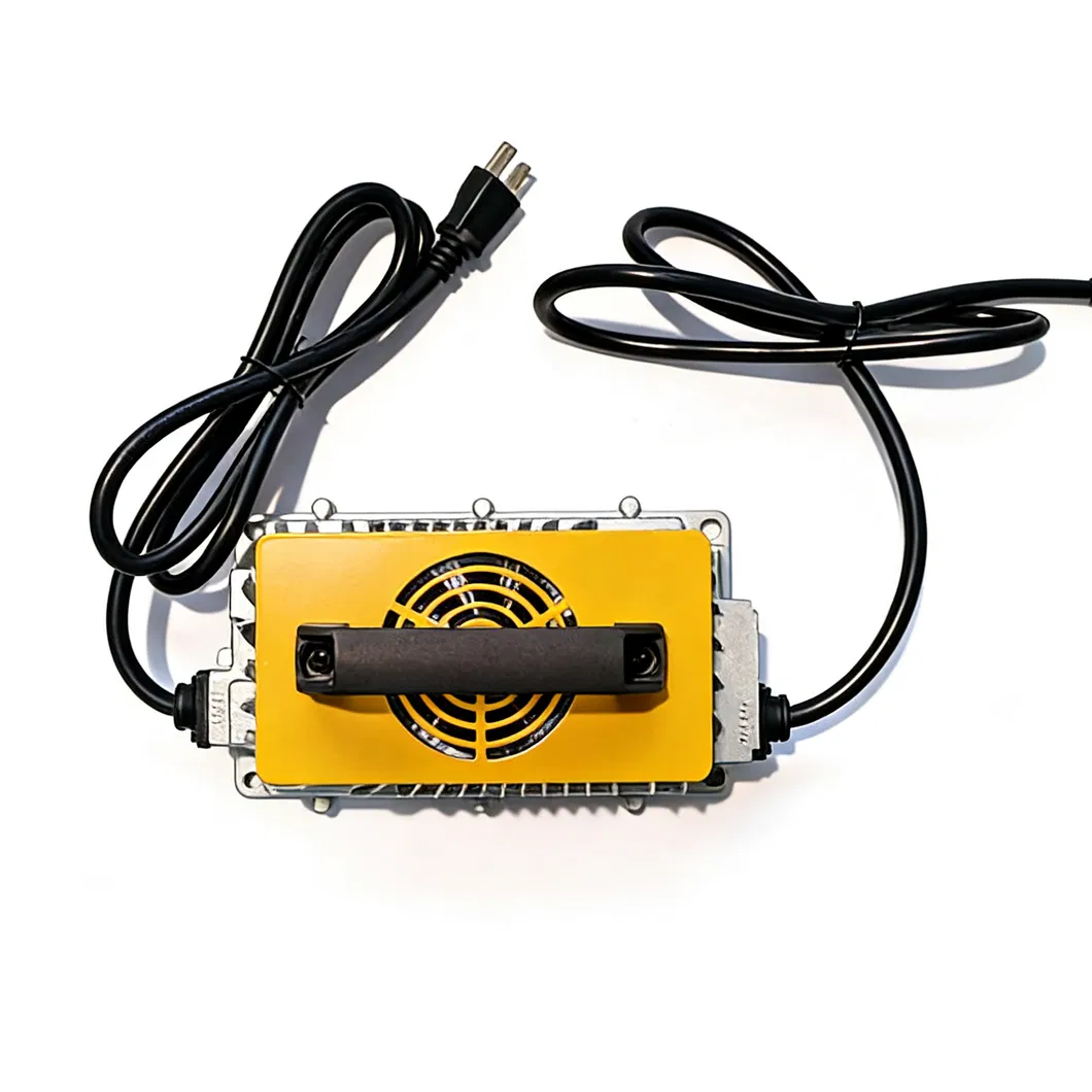 Battery Charger Detail 1