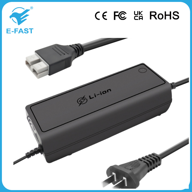 High Power E-Fast 12V Series 21V 5s Li-ion Battery Charger for LiFePO4 Batteries