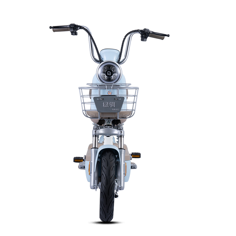 Mini Portable Bike Lelyn Low Price 48/60V Lead Acid Battery Electric Bike